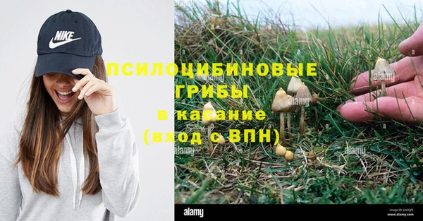 соль курить ск Михайлов