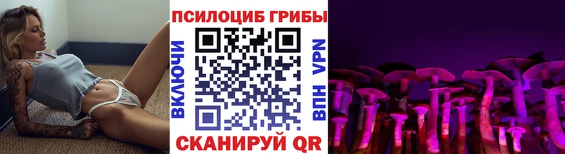 Псилоцибиновые грибы Psilocybe  Алзамай 